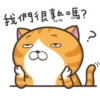 whitecat 15