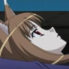 Spice and Wolf | Ookam to Koushinryou 18