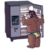 The BEAR 10