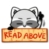 READ ABOVE