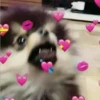 doggo hearts 11