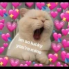uwu uwu 21
