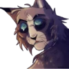 Warrior_cats 20