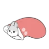 Machiko rabbit 14