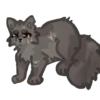 Warrior_cats 21