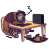 The BEAR 13