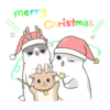 Machiko rabbit 15