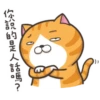 whitecat 23