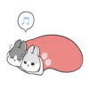 Machiko rabbit 17