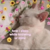 uwu uwu 24