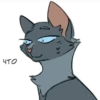 Warrior_cats 23