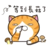 whitecat 25