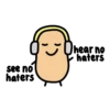 Potato 23