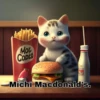 Moc
CODES
Michi Macdonald's.