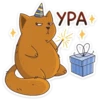 whiteboxvk 25