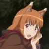 Spice and Wolf | Ookam to Koushinryou 24