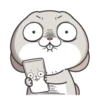 Bunny 15 27