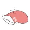 Machiko rabbit 25