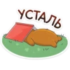 whiteboxvk 26