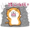 whitecat 28