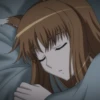 Spice and Wolf | Ookam to Koushinryou 25