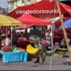 Vendedorsaurio
Pasele güerita 2 kg
Por $20
