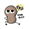 Potato 28
