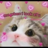 uwu uwu 27