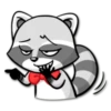 The Frisky Raccoon 30