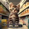 E
F
CONTR
Michi Operario de
minisuper.