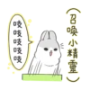Machiko rabbit 30