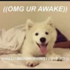 uwu uwu 29
