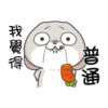 Bunny 15 30