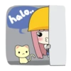 halo..