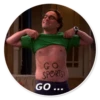 The Big Bang Theory 6