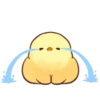 Soft and Cute Chick 5