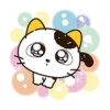 Tama and Friends 11