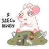 whitevk 11