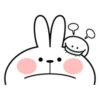 Spoiled Rabbit Smile Person Small Smile 15