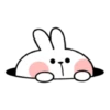 Spoiled Rabbit Add 7