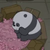 we bare bears 8
