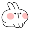 Spoiled Rabbit Add 10