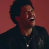 The Weeknd 16