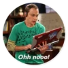 The Big Bang Theory 13
