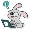 Eddie the Bunny 15