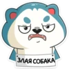 Тео 13