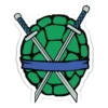 Teenage mutant ninja turtles 12