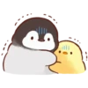 Soft and Cute Chick 15