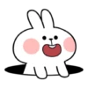 Spoiled Rabbit Add 16