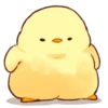 Soft and Cute Chick 18